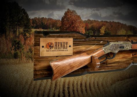 Gift for Hunter. . Henry rifle display case